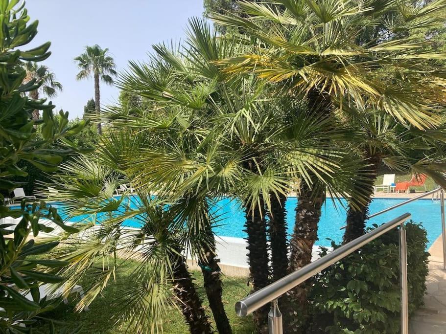 Renove, Grande Terrasse, Piscine, Au Calme Absolu